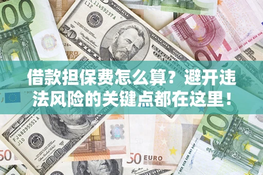 济南借款担保费怎么算？避开违法风险的关键点都在这里！