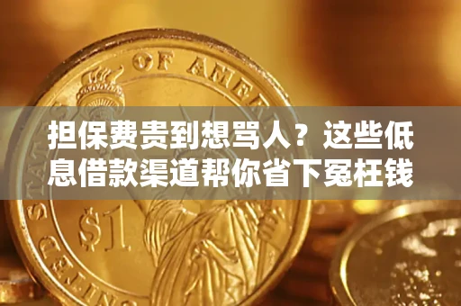 济南担保费贵到想骂人？这些低息借款渠道帮你省下冤枉钱
