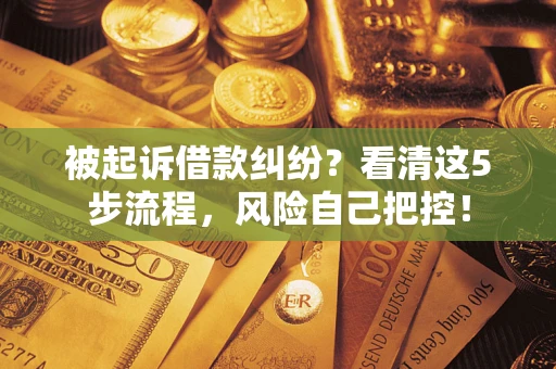 济南被起诉借款纠纷？看清这5步流程，风险自己把控！